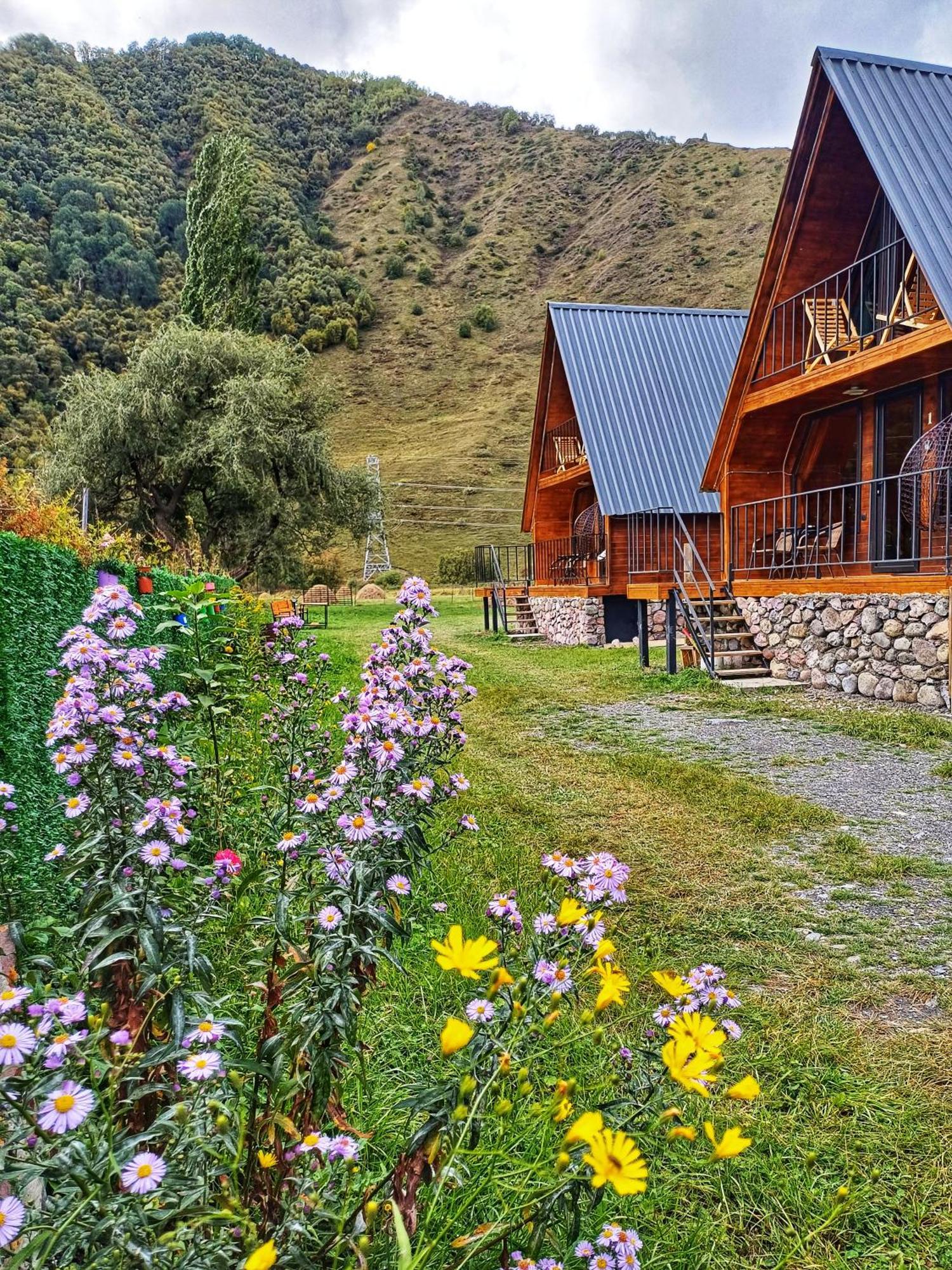 Panorama In Chalet *