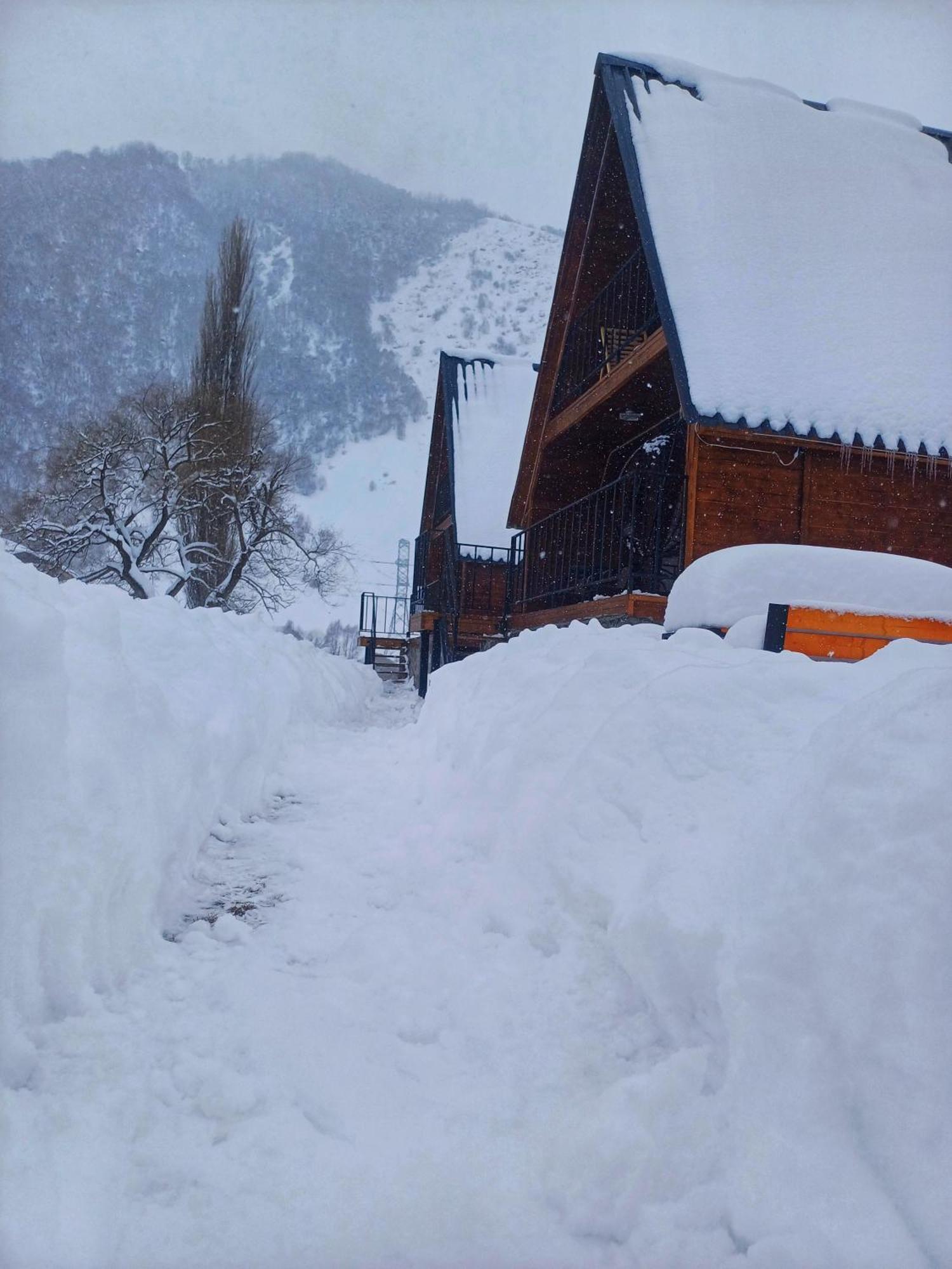 Panorama In * Sno