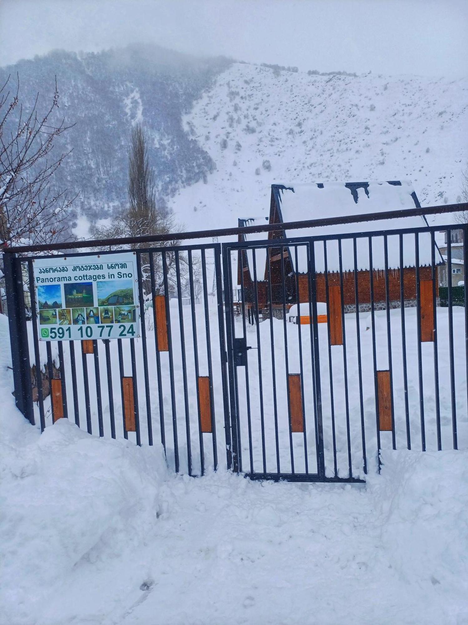 Panorama In Sno